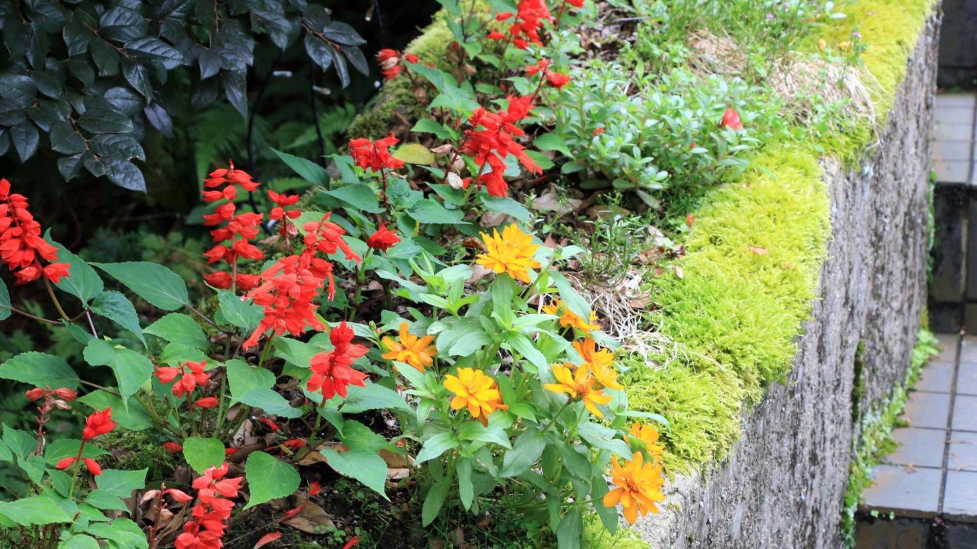Bellbird Bed & Breakfast อะโซะ ภายนอก รูปภาพ